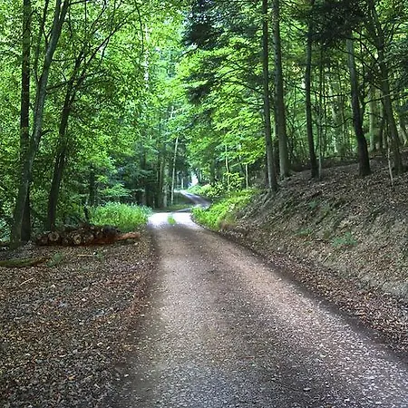 Ambiente Und Mehr